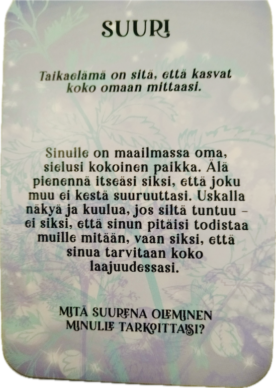 suuri